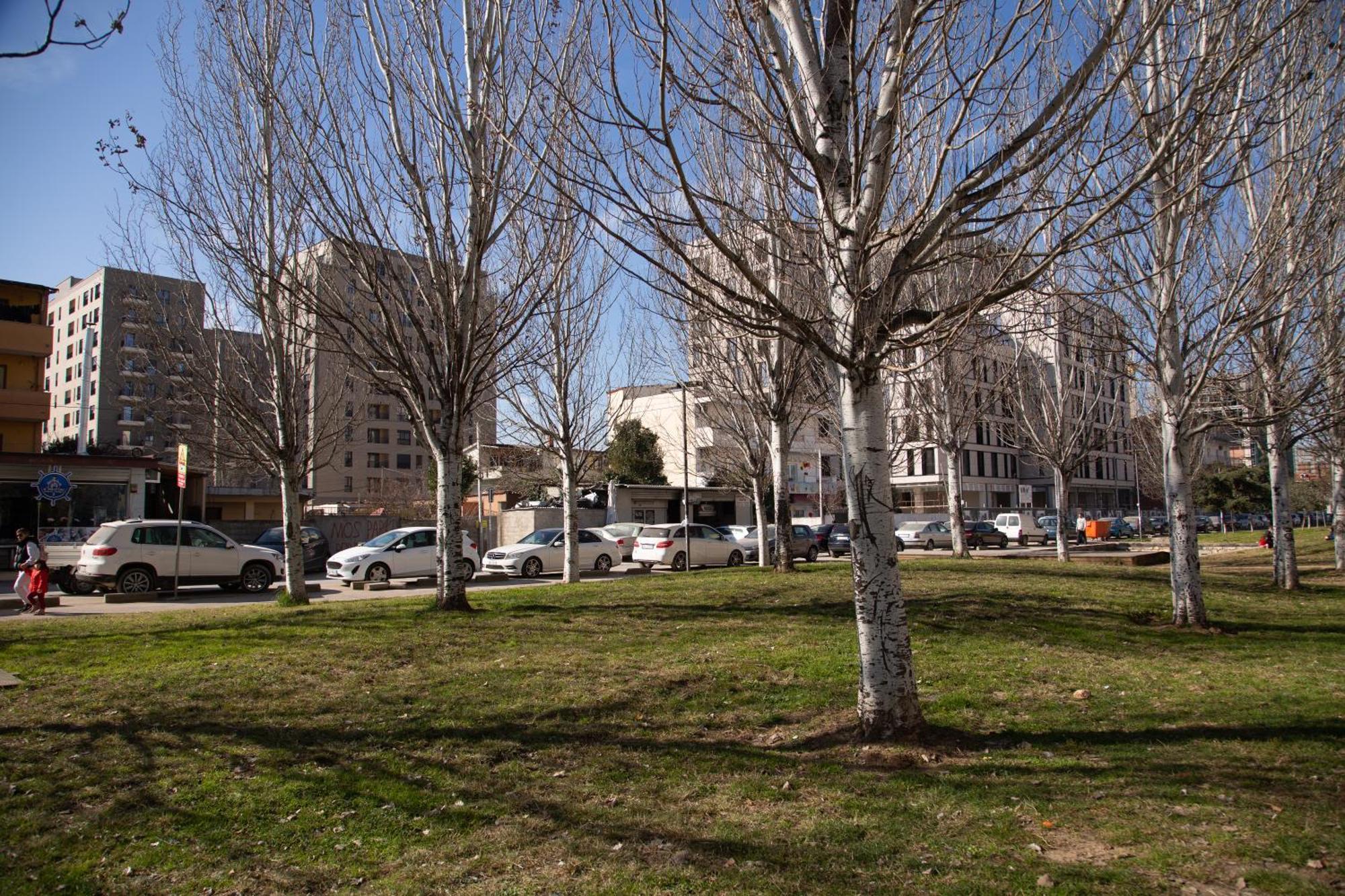 טיראנה Park View Apartment מראה חיצוני תמונה